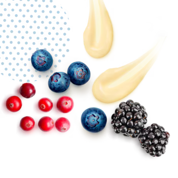 Crema ai frutti di bosco