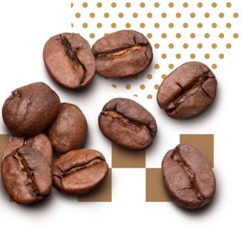 Gelato al caffè