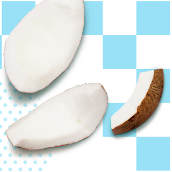 Gelato al cocco