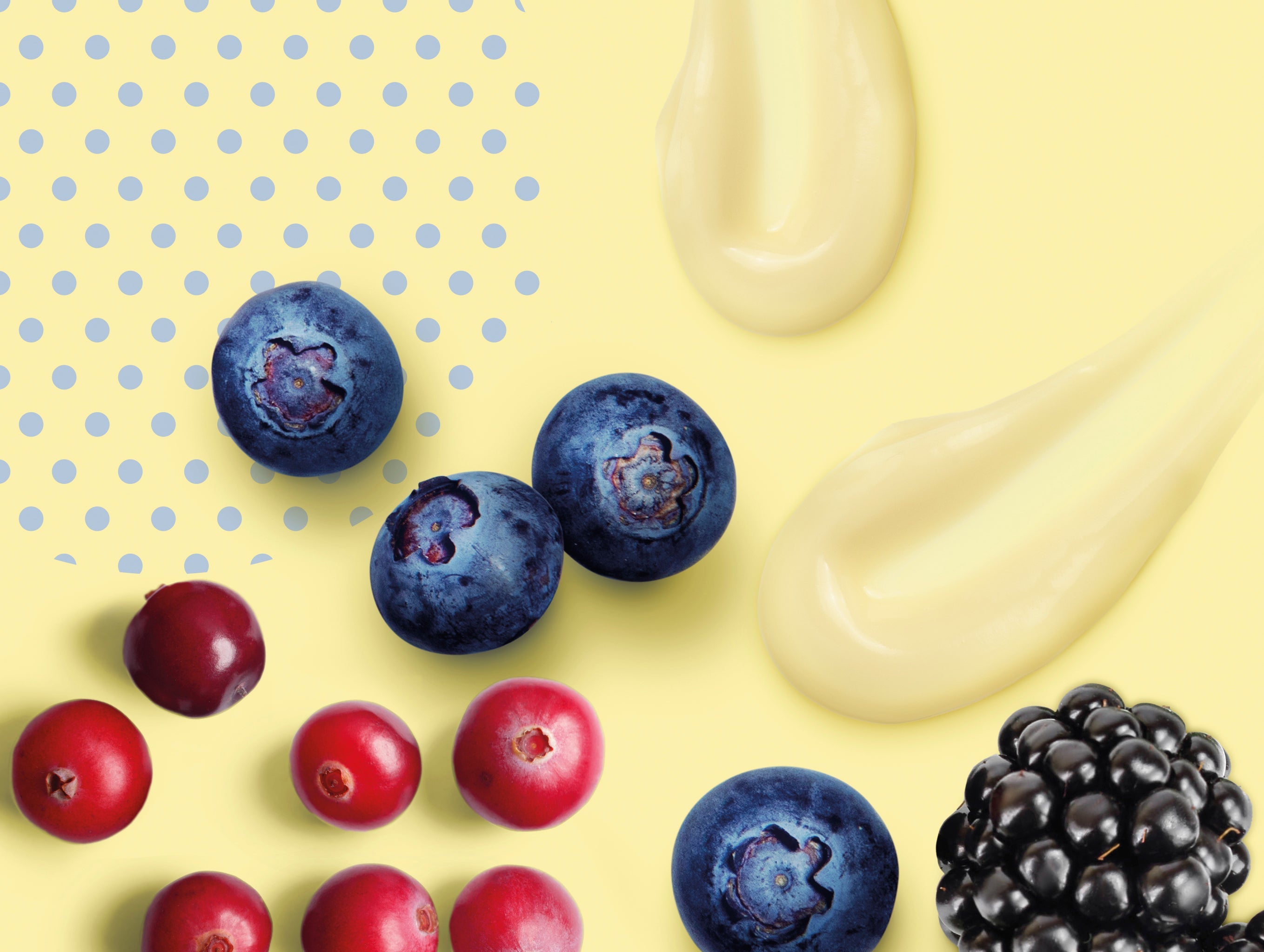 Crema ai frutti di bosco